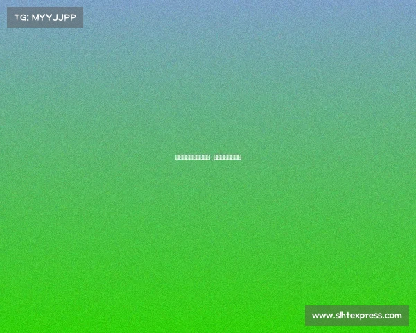 少儿业余散打商业赛事_少儿散打培训机构